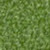 Verde chiaro